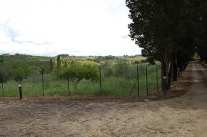 Ville di Prestigio in Vendita a Siena #26