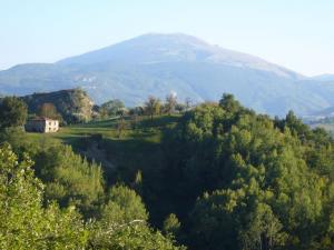 Ville di Prestigio in Vendita a Ascoli Piceno #28