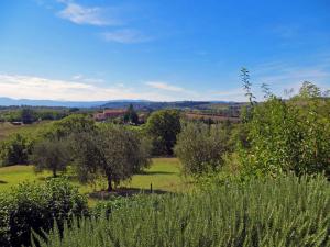 Rustici e Casali in Vendita a Paciano #10