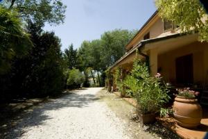 Rustici e Casali in Affitto a Cossignano #2