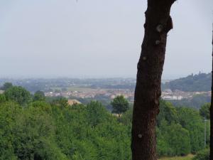 Ville di Prestigio in Vendita a Sant'Elpidio a Mare #18
