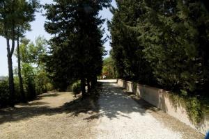 Rustici e Casali in Vendita a Cossignano #3