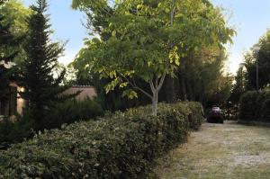 Rustici e Casali in Vendita a Cossignano #4