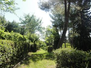 Rustici e Casali in Vendita a Cossignano #10