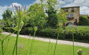 Ville di Prestigio in Vendita a Sarteano #14