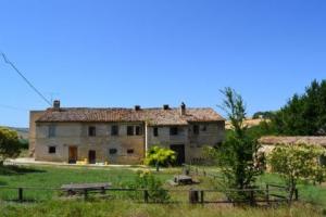 Rustici e Casali in Vendita a Cossignano #6