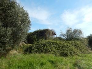 Rustici e Casali in Vendita a Cupra Marittima #17