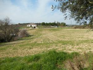 Rustici e Casali in Vendita a Cupra Marittima #22