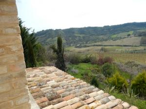 Rustici e Casali in Vendita a Ripatransone #17