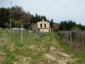 Rustici e Casali in Vendita a Ripatransone #15