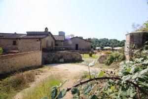 Ville di Prestigio in Vendita a Siena #5