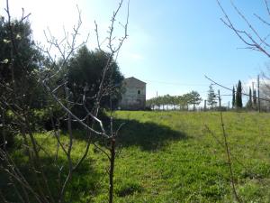 Rustici e Casali in Vendita a Cupra Marittima #19