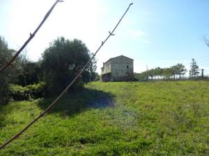 Rustici e Casali in Vendita a Cupra Marittima #20