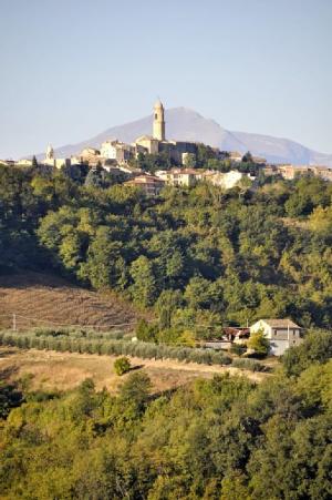 Appartamento in Affitto a Monterubbiano #14