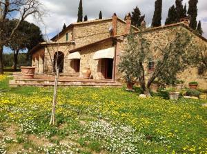 Appartamento in Vendita a Campagnatico #23