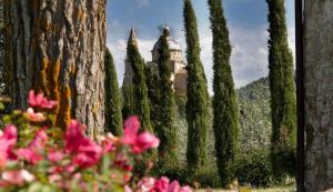 Rustici e Casali in Vendita a Montepulciano #3