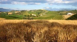 Rustici e Casali in Vendita a Ripatransone #15