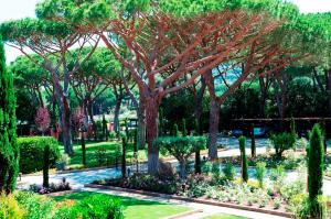 Appartamento in Vendita a Grosseto #4
