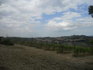 Rustici e Casali in Vendita a Ortezzano #13
