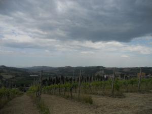 Rustici e Casali in Vendita a Ortezzano #14