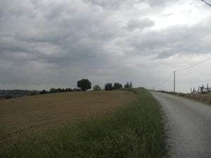 Rustici e Casali in Vendita a Ortezzano #15