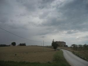 Rustici e Casali in Vendita a Ortezzano #17