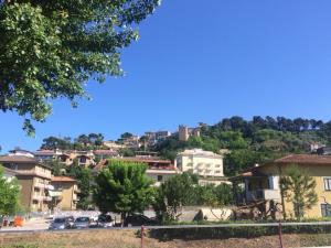 Appartamento in Vendita a Cupra Marittima #12