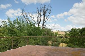 Ville di Prestigio in Vendita a Pergola #13