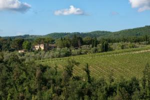 Ville di Prestigio in Vendita a Castellina in Chianti #24