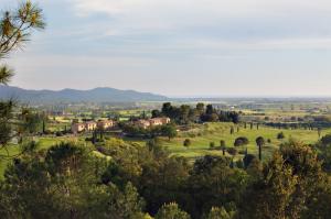Appartamento in Vendita a Follonica #18