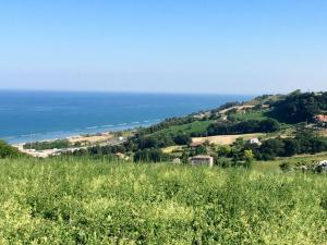 Ville di Prestigio in Vendita a Pedaso #2