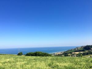 Ville di Prestigio in Vendita a Pedaso #8