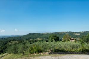 Rustici e Casali in Vendita a Piegaro #18