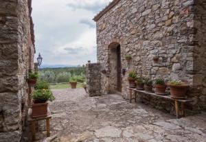 Rustici e Casali in Vendita a Castellina in Chianti #3