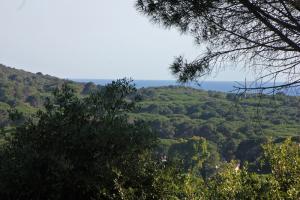 Ville di Prestigio in Vendita a Castiglione della Pescaia #18