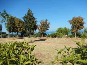 Ville di Prestigio in Vendita a Colonnella #27