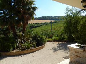 Ville di Prestigio in Vendita a Colonnella #30