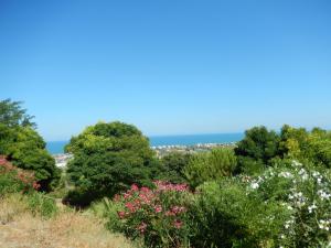 Ville di Prestigio in Vendita a Colonnella #33