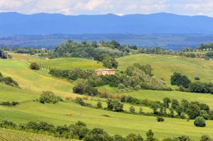 Rustici e Casali in Vendita a Montepulciano #3