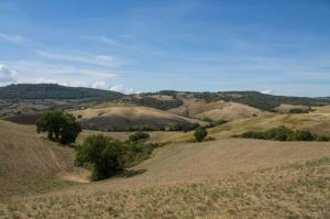 Rustici e Casali in Vendita a Montepulciano #14