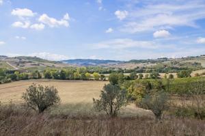 Rustici e Casali in Vendita a Montepulciano #15