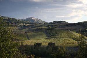 Rustici e Casali in Vendita a Montepulciano #16