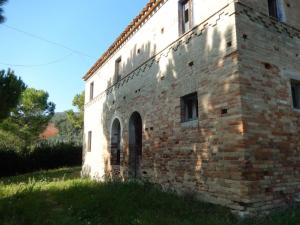 Aziende Agricole e Vitivinicole in Vendita a Lapedona #8