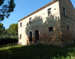 Aziende Agricole e Vitivinicole in Vendita a Lapedona #9
