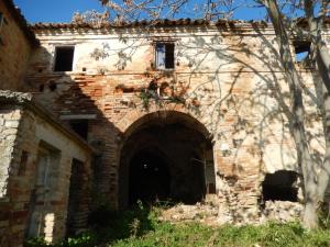 Aziende Agricole e Vitivinicole in Vendita a Lapedona #10