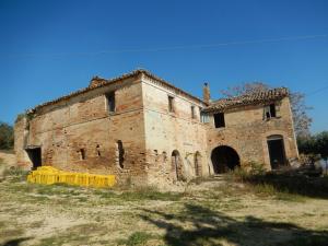 Aziende Agricole e Vitivinicole in Vendita a Lapedona #11