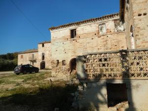 Aziende Agricole e Vitivinicole in Vendita a Lapedona #12