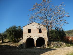 Aziende Agricole e Vitivinicole in Vendita a Lapedona #13