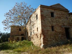 Aziende Agricole e Vitivinicole in Vendita a Lapedona #14