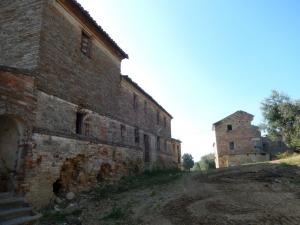 Aziende Agricole e Vitivinicole in Vendita a Lapedona #16